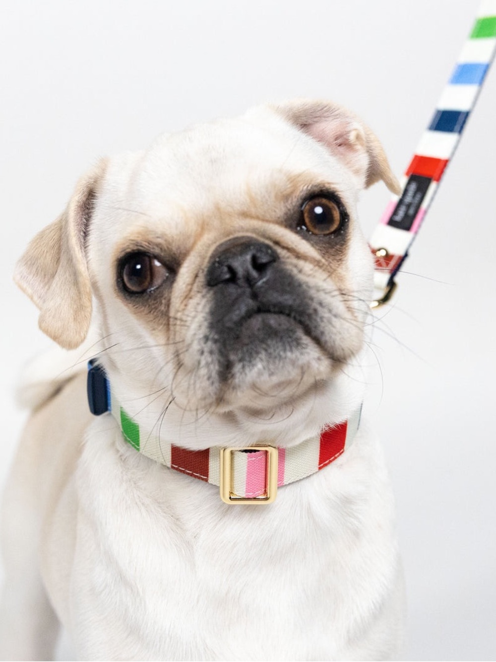 Kate Spade NY Adventure Stripe Dog Collar & Leash Combo - - Picture 16 of 16